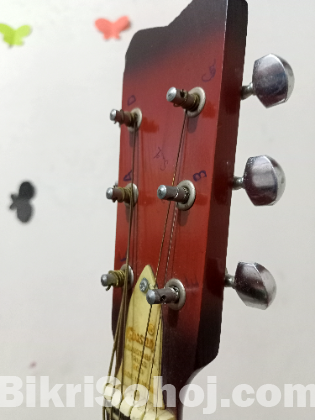 Givson Guiter made in india